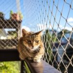 Balcony Net Installation Dubai Ensuring Safety, Comfort, and Peace of Mind