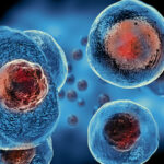 How Stem Cell Therapy